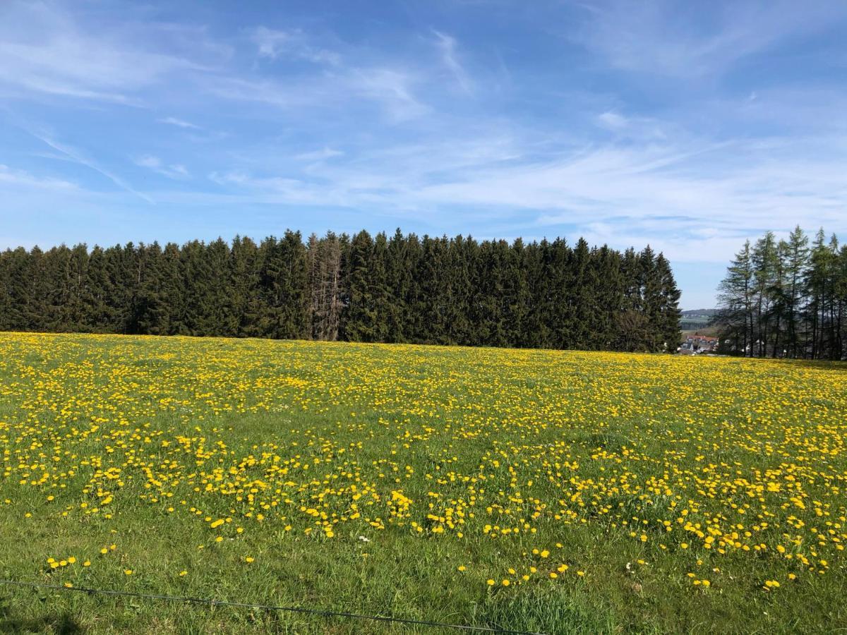 Ferienwohnung Am Wald Hachenburg Exteriör bild