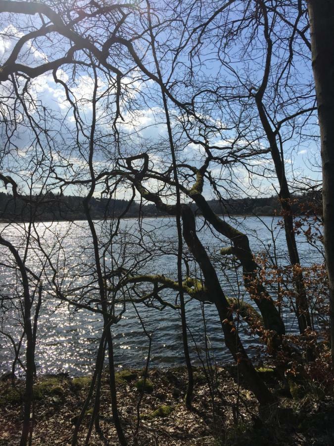 Ferienwohnung Am Wald Hachenburg Exteriör bild